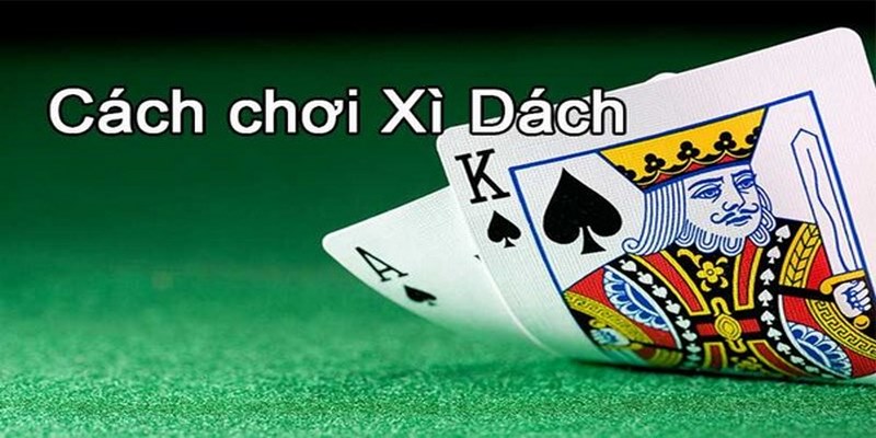 Luật đánh cơ bản của Xì dách 